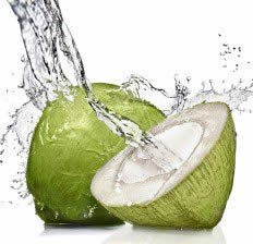 Coconut
